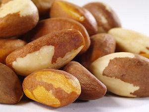 Be Careful with Brazil Nuts and Selenium Poisoning | New ...