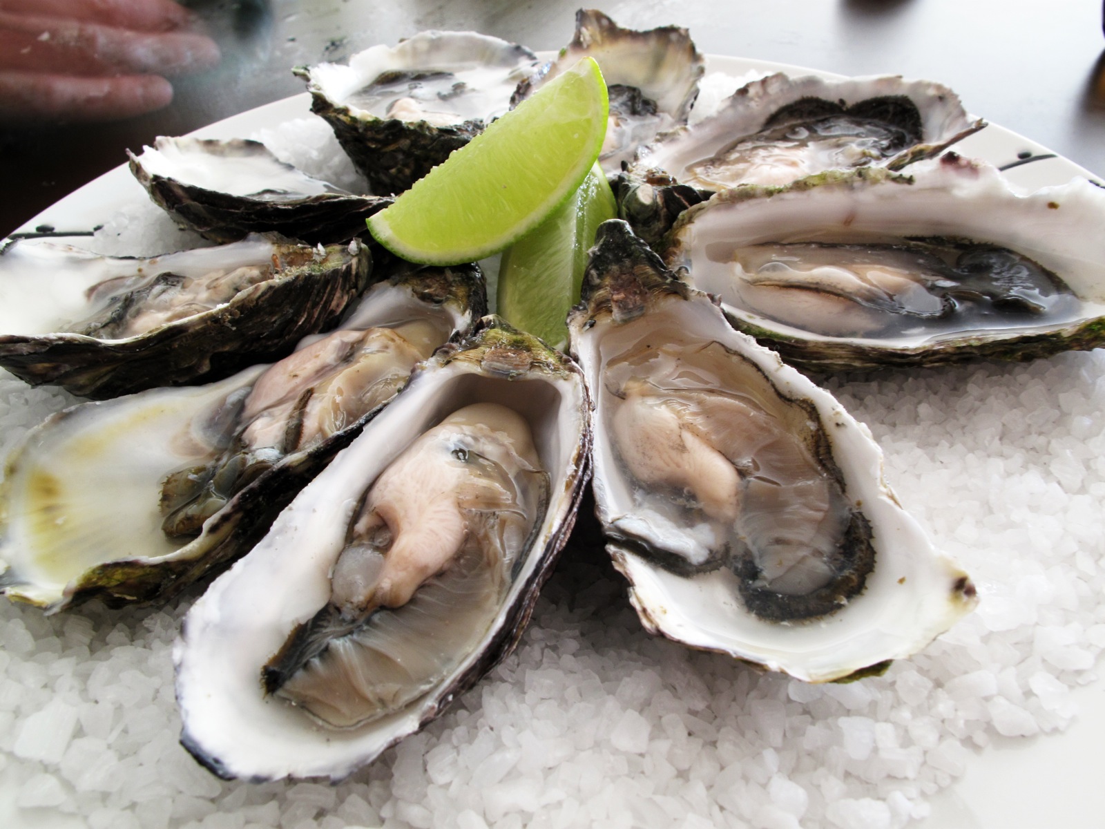 food-poisoning-from-oyster-cause-treatment-and-prevention-new