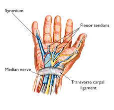 Pain Between Thumb and Index Finger | New Health Advisor