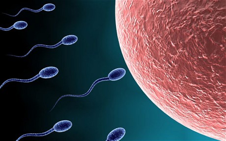 Can Sperm Go Through Clothes? | New Health Advisor