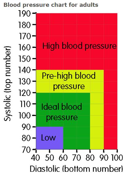 What Can High Blood Pressure Cause? | New Health Advisor